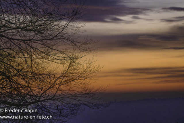 Soir de novembre au pied du Jura