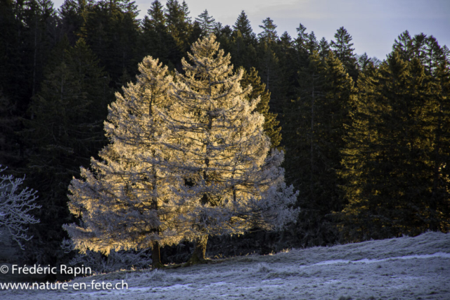 Lever de soleil aux Jura