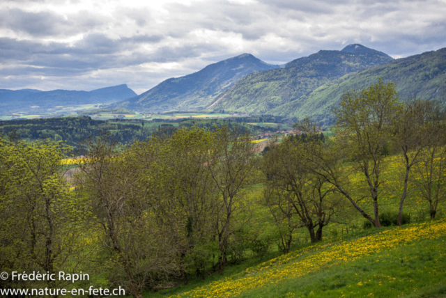 En-desous de Villars-Burquin