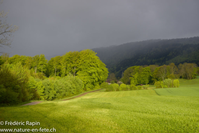 Près de Vaugondry