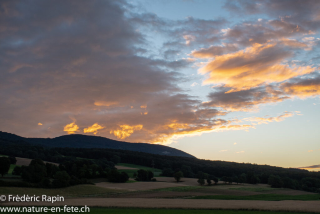 Lever de soleil au pied du Jura