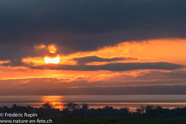 Lever de soleil sur le Lac de Neuchâtel