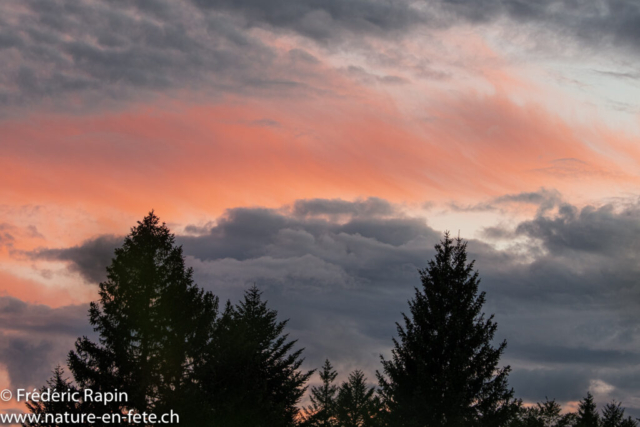 Soir d'août au Jura