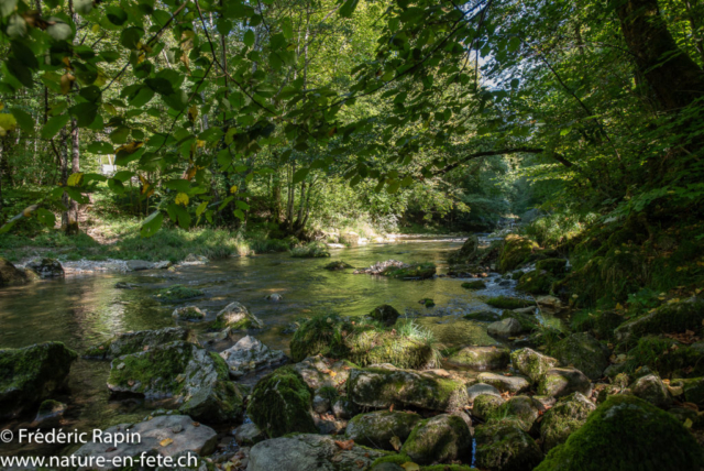 Les gorges de l'Orbe en été