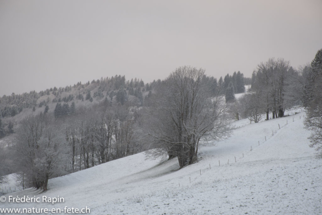 La neige est de retour à Mauborget