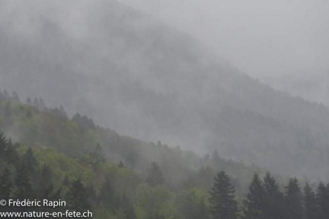 Soir de pluie au pied du Jura