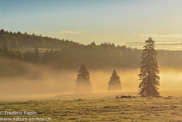 Matin de mai près de La Combaz