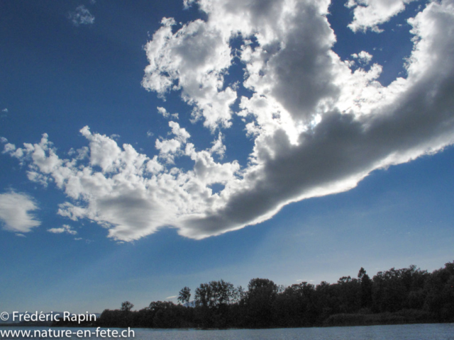 Ciel d'août, Corcelettes