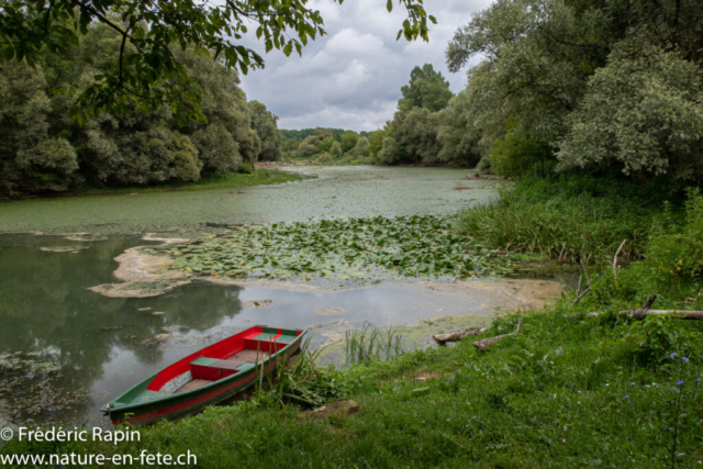 Le Doubs, près de Fretterans