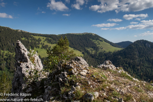 Depuis les Roches blanches