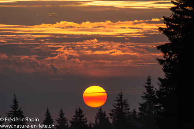 Lever de soleil au Jura