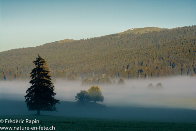 Le plateau de la Calame et le Chasseron